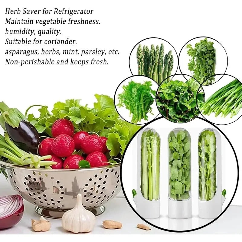 Herb Saver Storage Container – Premium Quality Fresh Herb Keeper for Longer Freshness