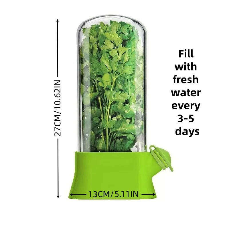 Herb Saver Storage Container – Premium Quality Fresh Herb Keeper for Longer Freshness